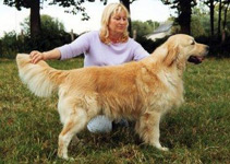 Shadow -tascha-paudell du P'Tit Coin de Paradis