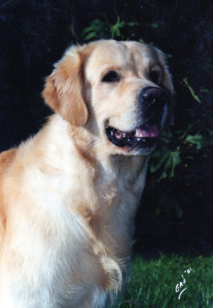 TR. CH. Napoléon iv du P'Tit Coin de Paradis