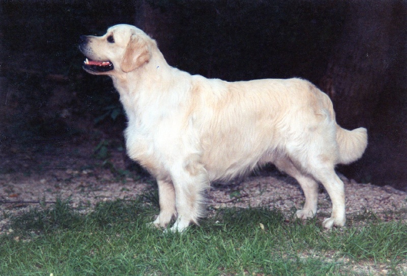 Teddy bear du P'Tit Coin de Paradis